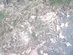 piss in the forest 2