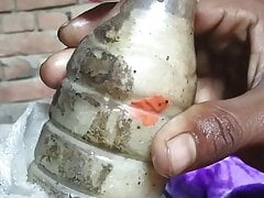 Anal cock Indian boy with sextoy
