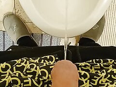 Pissing on my friend toilet #13