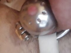 Chastity Sissy gets fucked