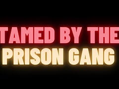 Prison Gang BDSM Slave Training Gangbang (M4M Gay Audio Story)