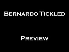 Bernardo Tickled