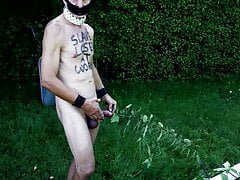 naked slave body writing outdoor public nettle soundBDSM CBT
