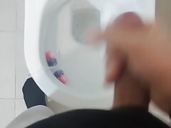 Toilet Solo Masturbation