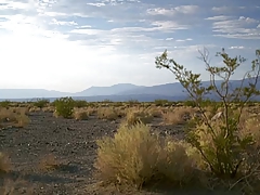 Destricted - Death Valley (2006) Sam Taylor-Wood